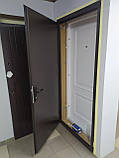 Двері вхідні Евріка, фото 3