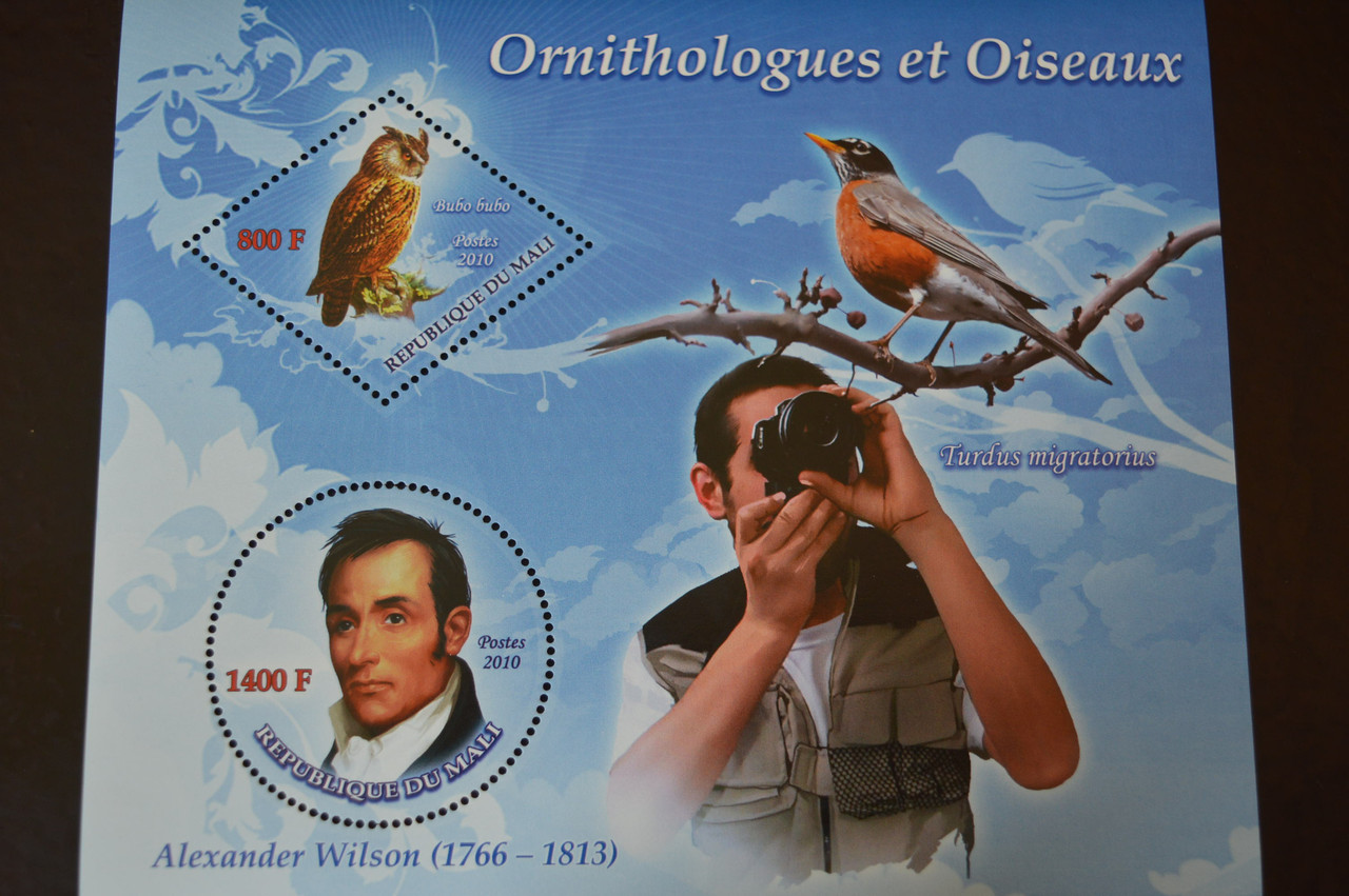 Марки. Фауна. Блок. 2010 рік (А-31)