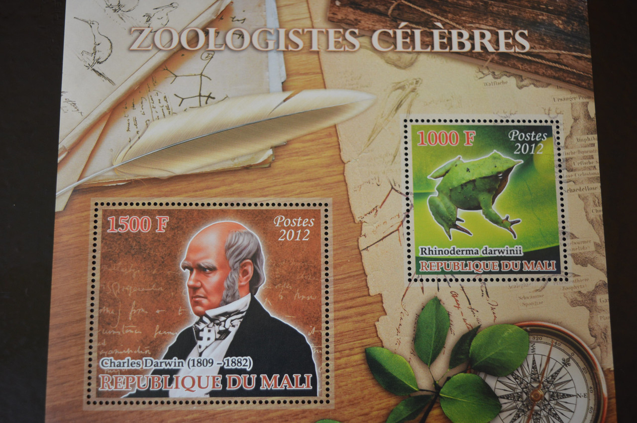 Марки. Фауна. Блок. 2010 рік (А-31)