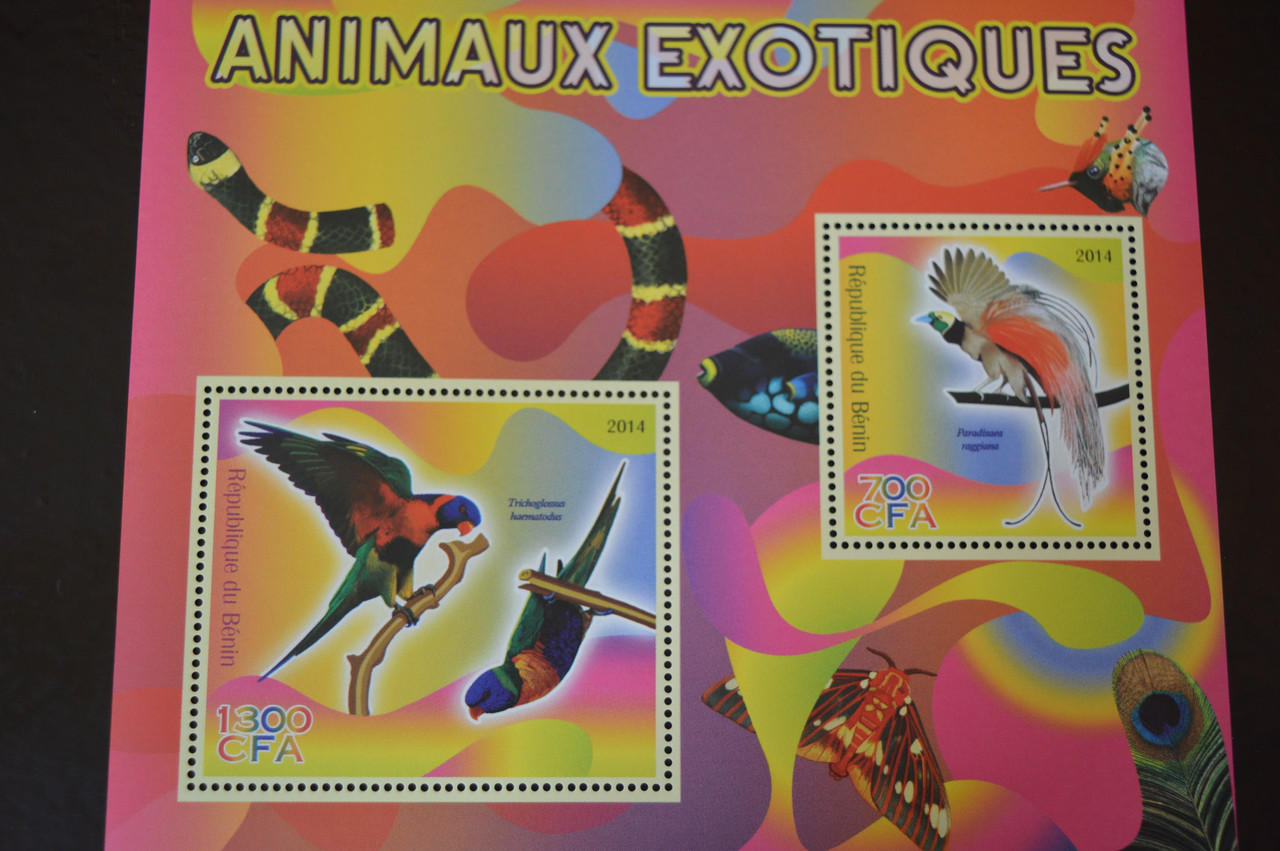 Марки. Фауна. Блок. 2010 рік (А-31)