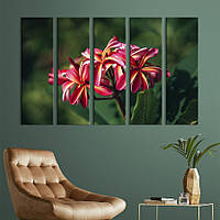 Картина на холсте KIL Art Красивая тропическая лилия 155x95 см (944-51)