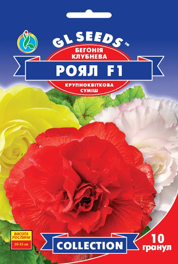 Бегонія Роял F1 суміш 10шт