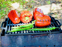 Решітка гриль чавуна двостороння 355х255 мм