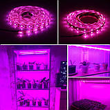 Світлодіодна ФітоЛента GrowLight для кімнатних рослин 5 V USB 2835 1 м (L363F), фото 2