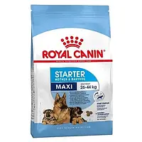 Сухой корм Royal Canin Maxi Starter для кормящих собак крупных пород, 4 кг