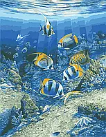 Картина-раскраска по номерам на холсте в подарочной коробке Подводный мир 50*65 см