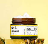 Захисний крем для обличчя з керамідами Q+A Ceramide Face Cream 50g, фото 2