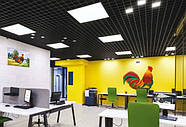 Світлодіодна LED панель 600х600 45 Вт 4200K SMD в стелі Армстронг PLAZMA-45, фото 9