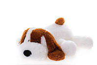 М'яка іграшка Собачка Аліна Шарик 75 см білий