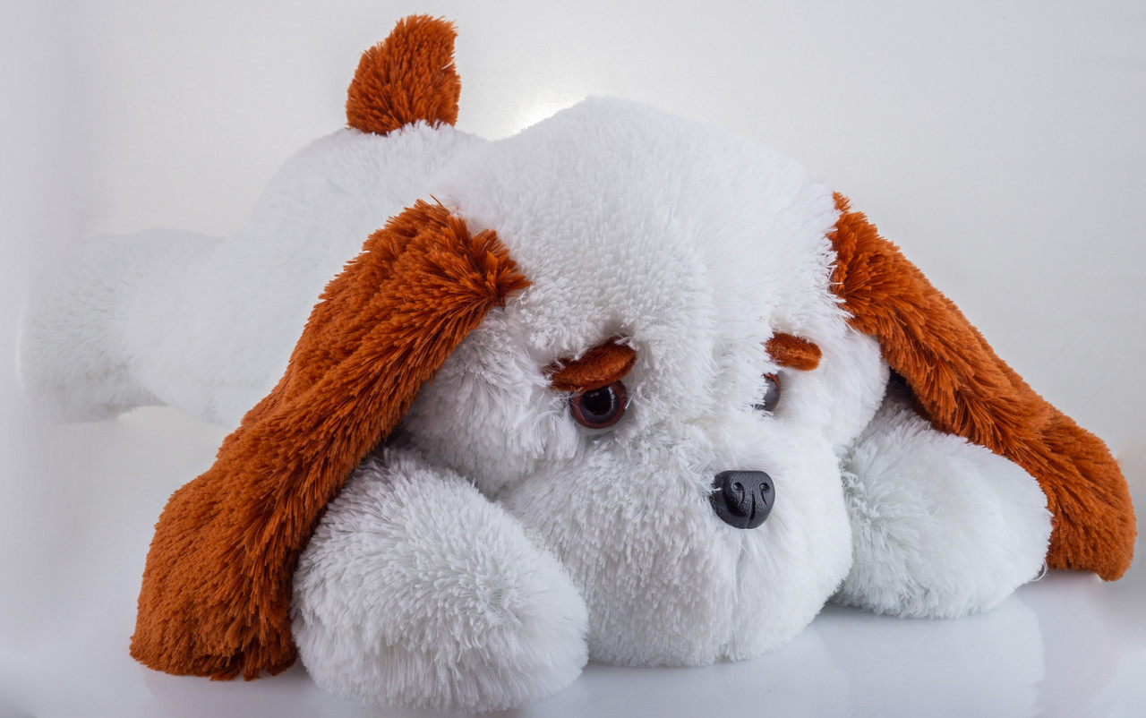 М'яка іграшка Собака Аліна Тузик 65 см білий - фото 1 - id-p2147195093