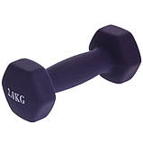 Гантель для фітнесу  Веселка  1шт 2кг кольори в асортименті, фото 2