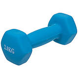 Гантель для фітнесу  Веселка  1шт 2кг кольори в асортименті, фото 3