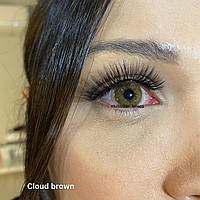 Цветные контактные линзы медовые Urban Layer cloud brown