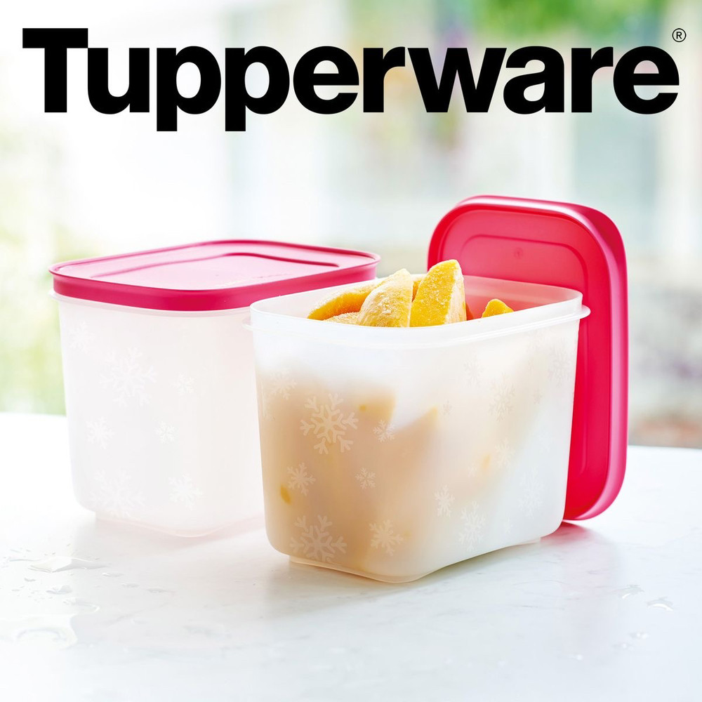 Набір охолоджувальних лотків 1,1 л (2 шт.) Tupperware