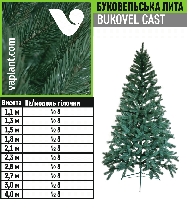 Ялина "БУКОВЕЛЬСЬКА" лита 2,1 м блакитна, зелена