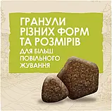 Сухий корм для собак великих порід віком від 2 років Dog Chow Large Breed з індичкою 14 кг (7613034487926), фото 10