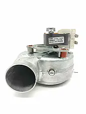 Вентилятор для котла Protherm Рысь, Леопард, Тигр, Пантера арт. 0020023215, фото 5