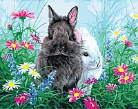 Картина по номерам Животные 40х50 Картины по цифрам на холсте Двое кроликов Картины по номерам Rainbow 36237