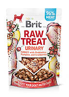 Лакомство для собак Brit Raw Treat freeze-dried Urinary для профилактики мочекаменной болезни, индейка, 40 г a