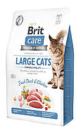 Корм Brit Care Cat Grain Free Large Cats Power & Vitality сухой с уткой и курицей для котов больших пород 2.0