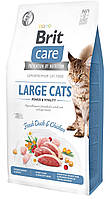 Корм Brit Care Cat Grain Free Large Cats Power & Vitality сухой с уткой и курицей для котов больших пород 7.0