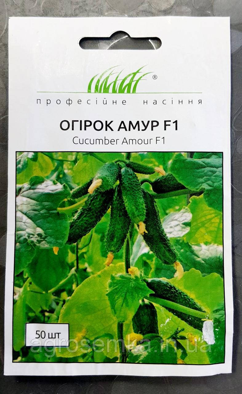 Огірок Амур F1 50 шт / Bejo Zaden