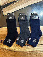 Носки мужские "Adidas" Махра темное ассорти высокие р. 41-44