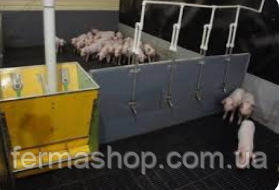Набор ниппельного поения для свиноматок и хряков от 120 кг из нержавейки - опора регулируется по высоте - фото 10 - id-p1825415236