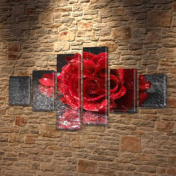 Модульна картина Троянда на чорному, 70x120 см, (25x18-2/35х18-2/65x18-2)