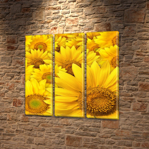 Модульна картина Поле соняшників, на ПВХ тканини, 65x65 см, (65x20-3)