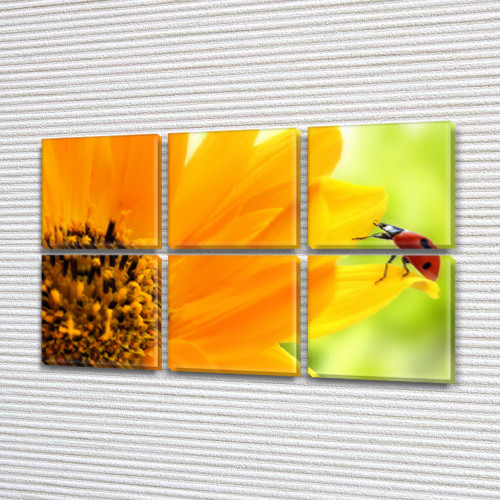 Модульні картини для спальні, на Полотні нат., 72x110 см, (35x35-6), фото 1