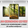 Картина Ранок у лісі , на Полотні сін., 45х70 см, (30x20-2/45x25), фото 2