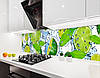 Панель на кухонний фартух під скло лайм з цитрусами, з двостороннім скотчем 62 х 205 см, 1,2 мм, фото 8