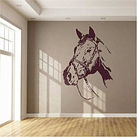 Трафарет для покраски Голова коня одноразовый из самоклеящейся пленки 140 х 95 см