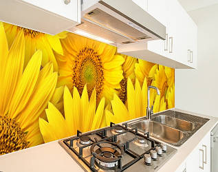 Панель на кухонний фартух під скло соняшники великі, з двостороннім скотчем 62 х 205 см, 1,2 мм