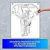 Трафарет для фарбування малюнку на стіні Слон одноразовий з самоклеющей плівки в трьох розмірах 115 х 95 см, фото 4
