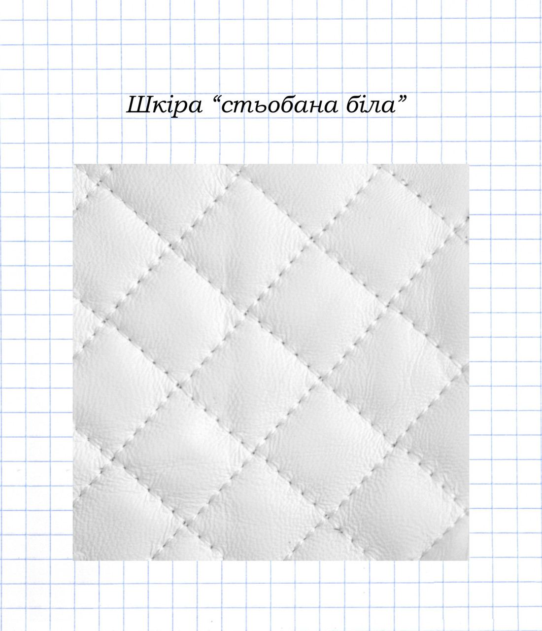 Шкіра стьобана біла, фото 1