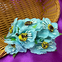 Мак дикий, букет 6 цветков - голубой КР