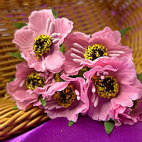 Мак дикий, букет 6 цветков - розовый КР