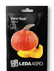 Насіння Гарбуз Учікі Курі Leda Agro 5 шт