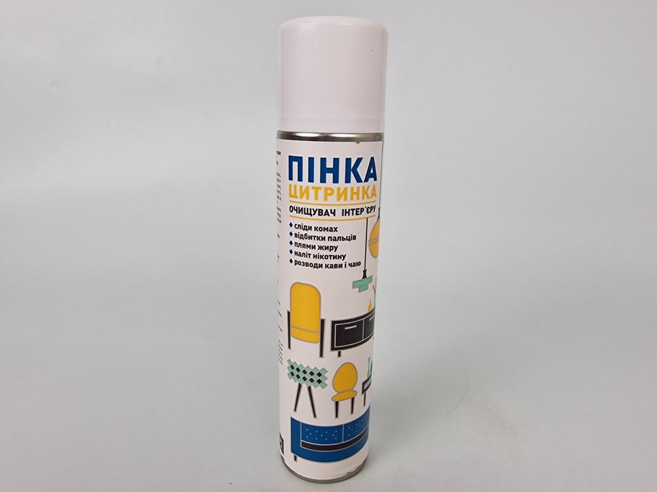 Засіб для догляду за деталями інтер'єру в аерозолі. пакованні 300 мл.Rector (1 шт.), фото 1