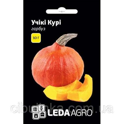 Насіння Гарбуз Учікі Курі Leda Agro 10 г, фото 1