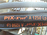 Приводний клиновий ремінь преміумкласу А-1250 PIX, фото 2