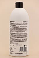 ProfiStyle Шампунь сріблястий антижелтый, 500 мл, фото 2