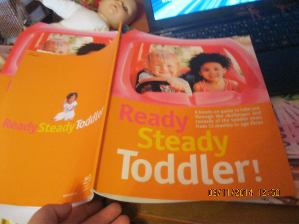 Книга READY Steady Toddler на английском языке британия - фото 1 - id-p360568183