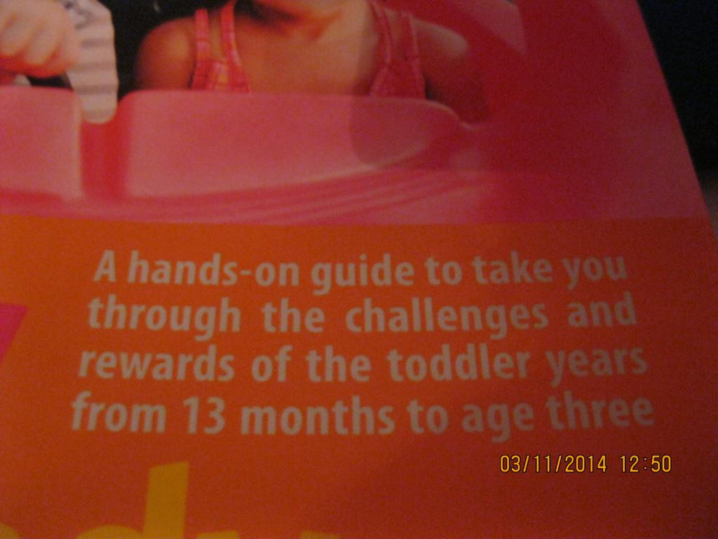 Книга READY Steady Toddler на английском языке британия - фото 2 - id-p360568183