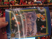 Коллекционеру открытка переливающаяся котенок кот