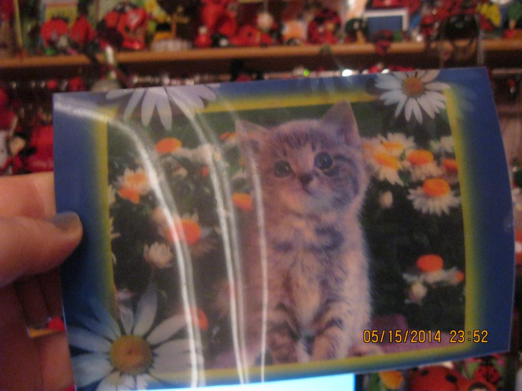 Коллекционеру открытка переливающаяся котенок кот - фото 1 - id-p360569739