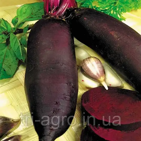 Буряк Циліндра 5г Проф.Нас, фото 2