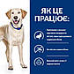 Сухий корм (Хіллс) для собак при харчовій алергії з качкою та рисом Hill's Prescription Diet d/d 1,5 кг, фото 5